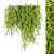 Greenery Collection - Outdoor Bush 3D model small image 4