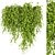 Greenery Collection - Outdoor Bush 3D model small image 5