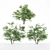 Diverse Kousa Dogwood Trees 3D model small image 2