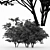 Diverse Kousa Dogwood Trees 3D model small image 4