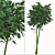 Golden Bamboo Plants Set (6-Pack) 3D model small image 9