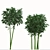 Golden Bamboo Plants Set (6-Pack) 3D model small image 10