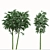 Golden Bamboo Plants Set (6-Pack) 3D model small image 11