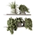 Green Living: Indoor Plant Set 3D model small image 2