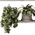 Green Living: Indoor Plant Set 3D model small image 5