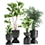 Exotic Plant Collection in Stylish Metal Pots 3D model small image 1