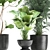 Exotic Plant Collection in Stylish Metal Pots 3D model small image 3