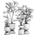 Exotic Plant Collection in Stylish Metal Pots 3D model small image 8