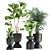 Exotic Plant Collection in Stylish Metal Pots 3D model small image 9