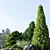 Alpine Hill Collection: 3D Garden & Plant Models 3D model small image 2