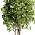 Handmade Pottery Ficus Benjamin Tree: Indoor Plant Collection 3D model small image 3