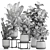Exotic Plant Collection in Metal Pots 3D model small image 7