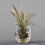 Collaction Indoor Plants: Stunning Detail & Quality 3D model small image 2