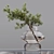 Collaction Indoor Plants: Stunning Detail & Quality 3D model small image 4