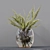 Collaction Indoor Plants: Stunning Detail & Quality 3D model small image 5