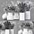 Greenery Bliss: Collaction Indoor Plants 02 3D model small image 4