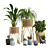 Indoor Oasis Vase Set 3D model small image 1