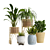 Indoor Oasis Vase Set 3D model small image 4