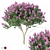 Lagerstroemia Flowering Tree Model 3D model small image 1