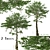 Monkey Puzzle Trees - Set of 2 3D model small image 1