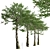 Monkey Puzzle Trees - Set of 2 3D model small image 3