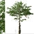 Monkey Puzzle Trees - Set of 2 3D model small image 4