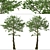 Monkey Puzzle Trees - Set of 2 3D model small image 5
