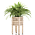 Natural Rattan Fern Pot 3D model small image 1