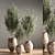 Green Oasis Indoor Plant Set 3D model small image 10