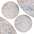 Elegant Circle Rugs | No. 221 3D model small image 1