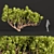Australian Tree Collection: Vol. 29 3D model small image 2