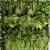 Indoor Plant Collection: Ivy & Pothos Hanging 3D model small image 3