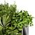 Indoor Plant Collection: Ivy & Pothos Hanging 3D model small image 4