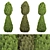 Premium Juniper Trees Collection - Vol. 30 3D model small image 1