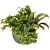 Indoor Houseplants Collection Vol 247 3D model small image 2