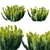 Mediterranean Spurge: Elegant 3D Model 3D model small image 1