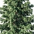 Cedrus Deodara 2013: 3D Max Modeling 3D model small image 2