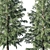 Cedrus Deodara 04 - High-Quality 3D Model 3D model small image 2