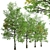 Rare Black Ash Tree Set (2 Trees) 3D model small image 2