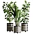 119 Plant Collection: Ravenala, Ficus Rubbery, Ficus Lyrata 3D model small image 1