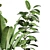 119 Plant Collection: Ravenala, Ficus Rubbery, Ficus Lyrata 3D model small image 2