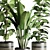 119 Plant Collection: Ravenala, Ficus Rubbery, Ficus Lyrata 3D model small image 5