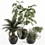 Lush Greenery Indoor Plant Set 3D model small image 1