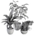 Lush Greenery Indoor Plant Set 3D model small image 5