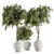 Vintage Pot Plant Set - Outdoor Elegance 3D model small image 1