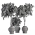 Vintage Pot Plant Set - Outdoor Elegance 3D model small image 5