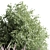 Nature's Blend: Mixed Plant & Bush 3D model small image 2