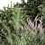 Nature's Blend: Mixed Plant & Bush 3D model small image 4