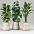 Lush Greenery Collection for Vibrant Interiors 3D model small image 2