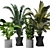 Sleek Indoor Plant Collection 3D model small image 1